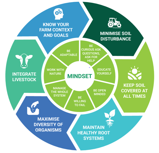 The Six Principles of Regeneration