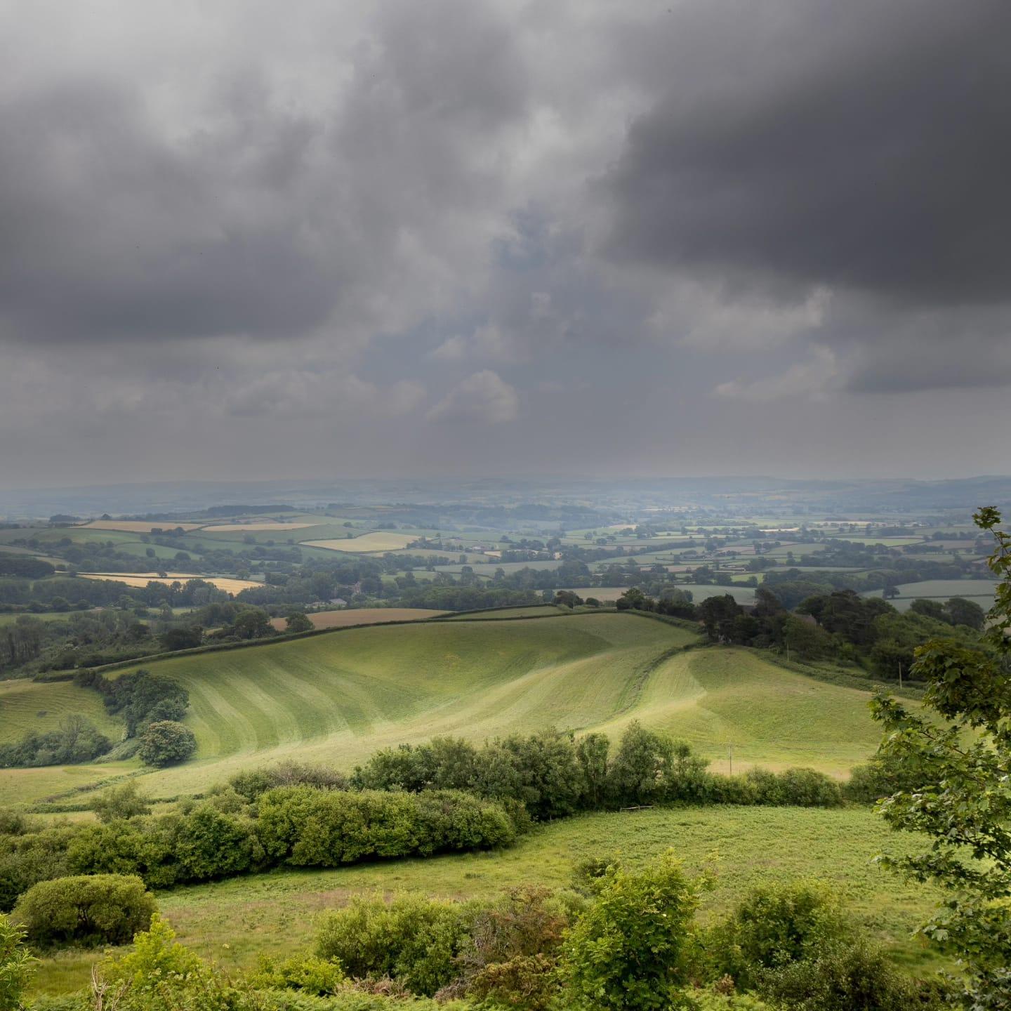 River Axe Catchment