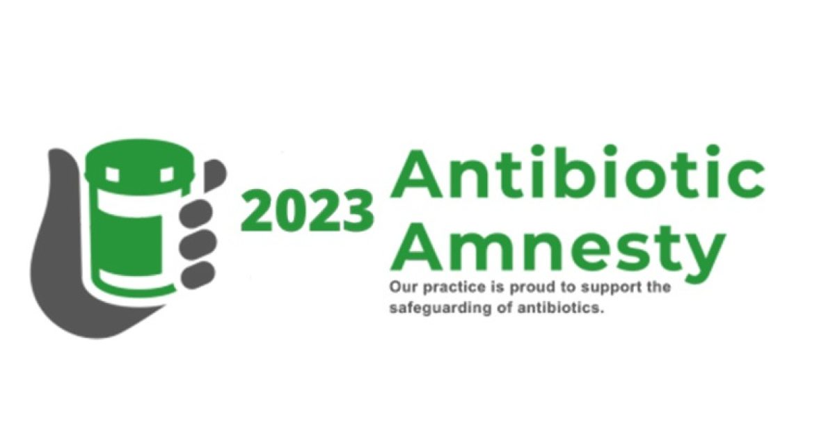 celebrating-antibiotic-amnesty-month-vet-sustain