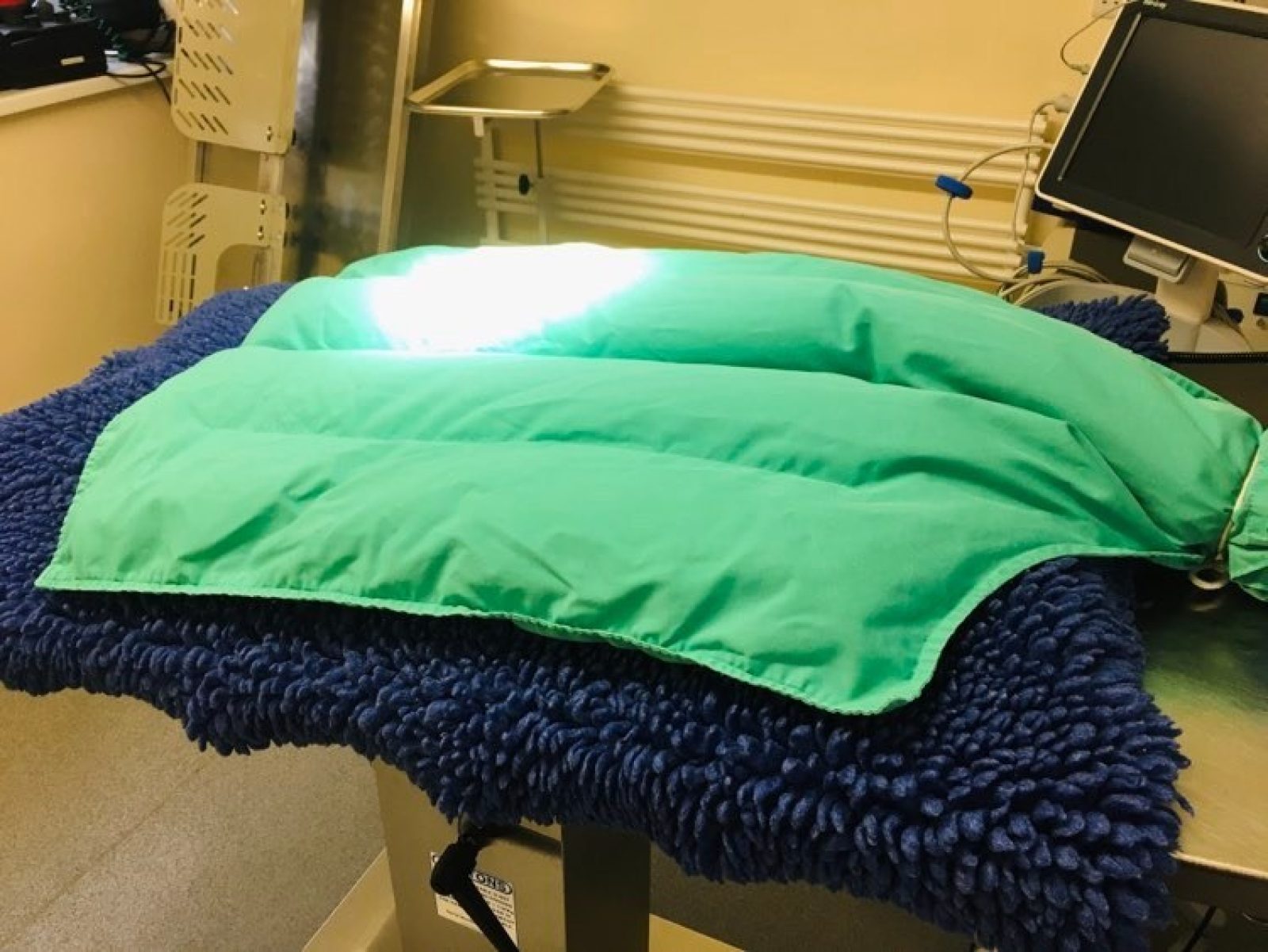 Case Study: Ark Veterinary Surgery — Vet Sustain